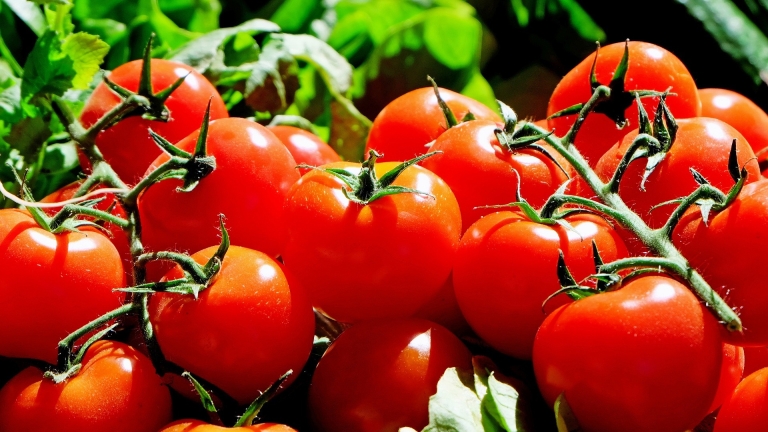 Tomatentag